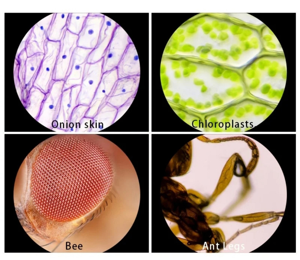 Портативний мікроскоп з підсвічуванням білого кольору Київ - фото 6