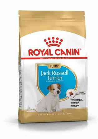 Royal Canin Jack Russell Terrier Puppy (Рояв Канін Джек Рассел Тер’єр Паппі) сухий корм для цуценят 1.5 кг. Запоріжжя