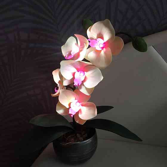 Світильник-нічник "Орхідея Натхнення" Дніпро