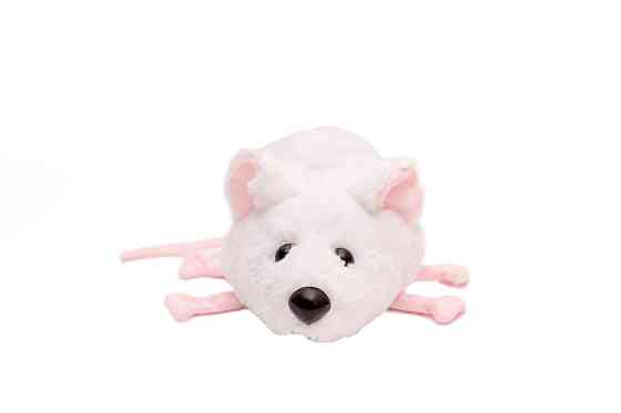 Мягкая игрушка Алина Мышка белая 22 см Киев