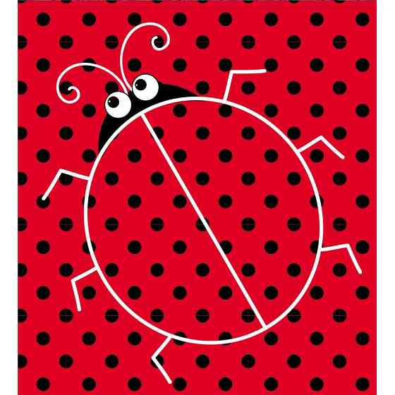 Дитяча багаторазова розмальовка "Диво-хованки" 559008, 5 сторінок Вінниця