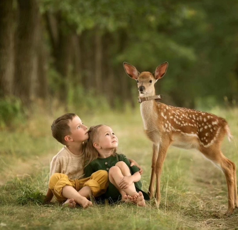 Об'єктив: Canon 135mm. F2 USM L. Київ - фото 6