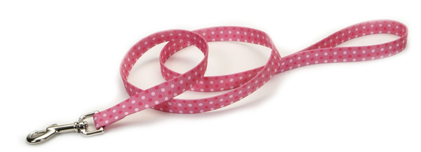 Coastal Pet Attire Styles КОСТАЛ СТАЙЛС повідець для собак, 2смХ1.8м Київ - фото 1