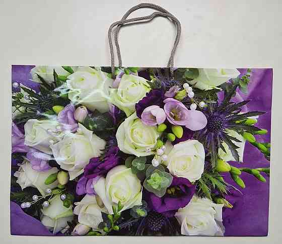 Бумажный большой горизонтальный пакет  36/22/10(артBG-079) (12 шт) Харьков