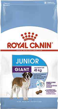 Корм для молодих собак гігантських порід ROYAL CANIN GIANT JUNIOR (джуніор) 15.0 кг Київ