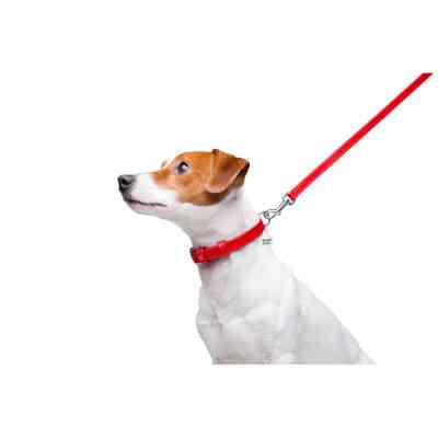 Повідок для собак WAUDOG Glamour шкіряний XS червоний (33723) Вінниця