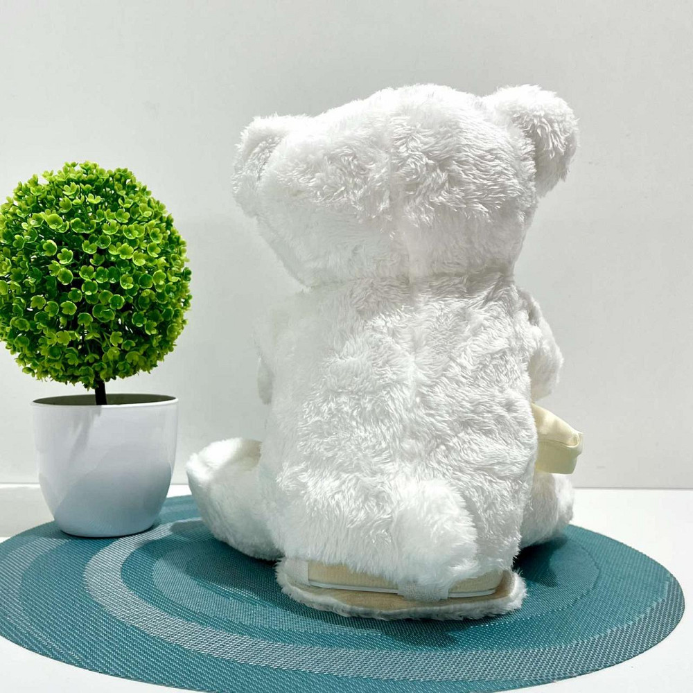 Ведмедик казкар інтерактивний грає в хованки розповідає казки Білий (M 5843 I UA) Чернигов - изображение 6