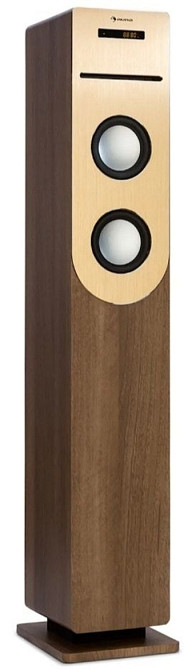 Музыкальная Колонка : AUNA BERKLEE Tower. Харьков - изображение 1