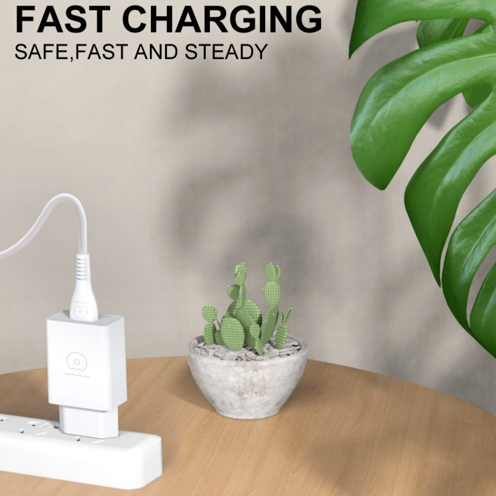 Сетевое зарядное устройство WUW-C186 Single USB charger Одесса - изображение 4