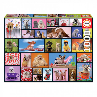 Пазл Educa Загальні моменти 1000 елементів (6425288) Вінниця - фото 1