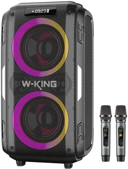 Портативная колонка W-King T9 Pro Czarny Киев - изображение 1