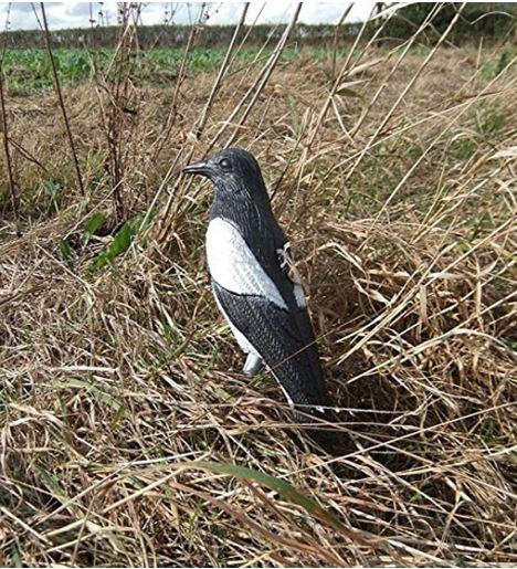 Сорока Київ - фото 4