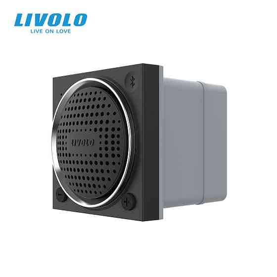 LIVOLO Механізм Bluetooth колонка LIVOLO чорний (VL-FCF-2BP) Коломия