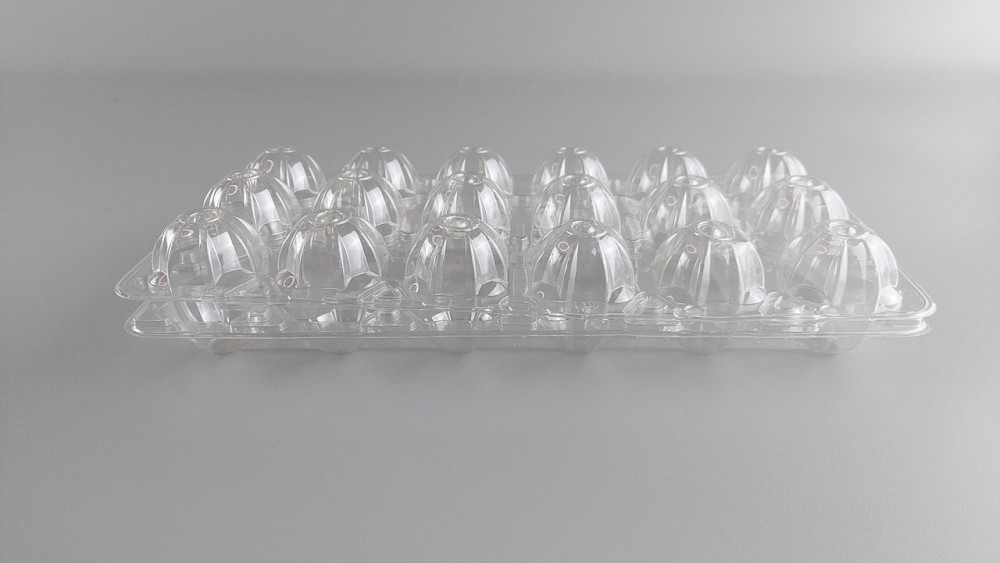 Упаковка для перепелиных яиц 18 ячеек (Прамоугольная) прозрачная (50 шт) Харьков - изображение 4