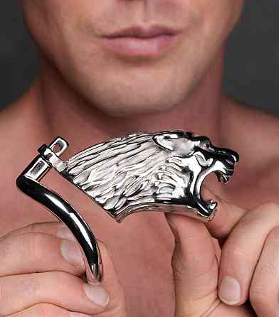 Клітка для пеніса Master Series: Tiger King Cock Cage With Lock, три кільця, замок, три ключі Sex Aura Київ
