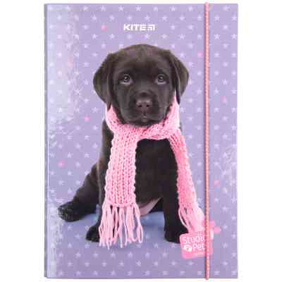 Папка для тетрадей Kite В5 на резинке Studio Pets, картон (SP23-210) Винница