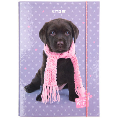 Папка для зошитів Kite В5 на гумці Studio Pets, картон (SP23-210) Вінниця - фото 2