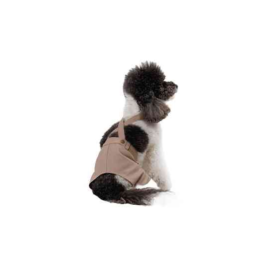 Шорти Pet Fashion Leo для собак XХS Київ