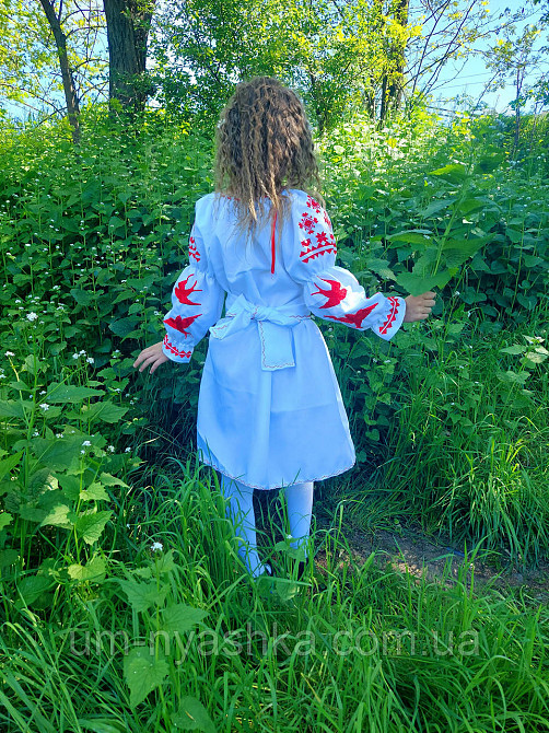 Платье вышиванка белое с ласточками 104-158 Кривой Рог - изображение 3