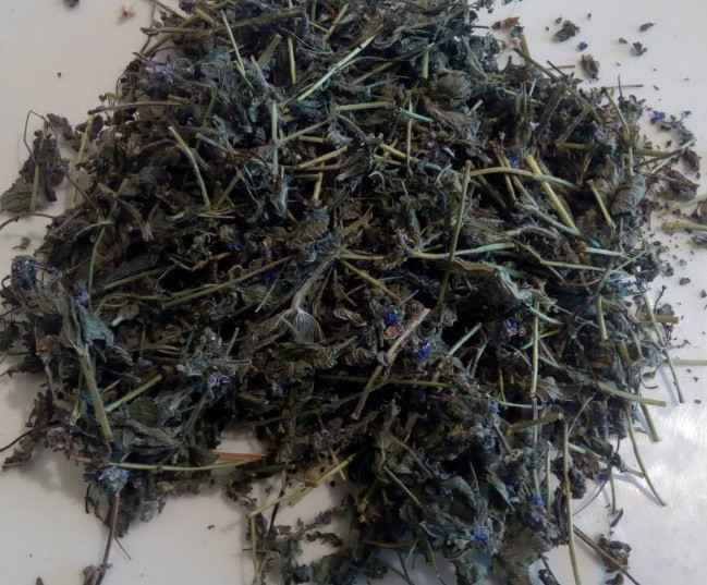 Вероніка лікарська (трава), 100г. Київ - фото 1