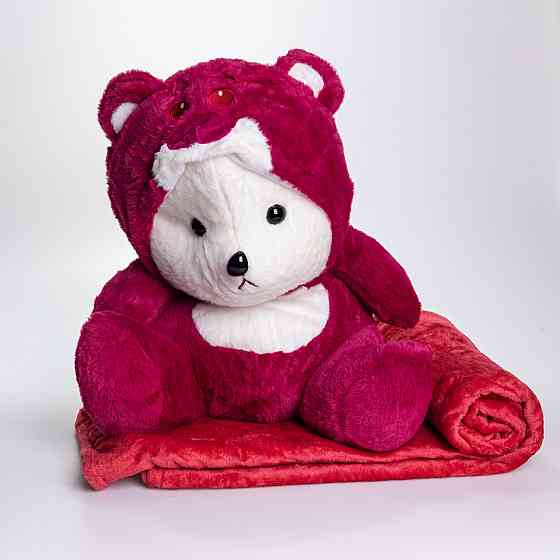 Мягкая игрушка-плед,подушка 3 в 1 Мишка Тедди в костюме Лотсо плед в игрушке 40×35×15 (см) детский плед игрушка 520-2R SBR Киев