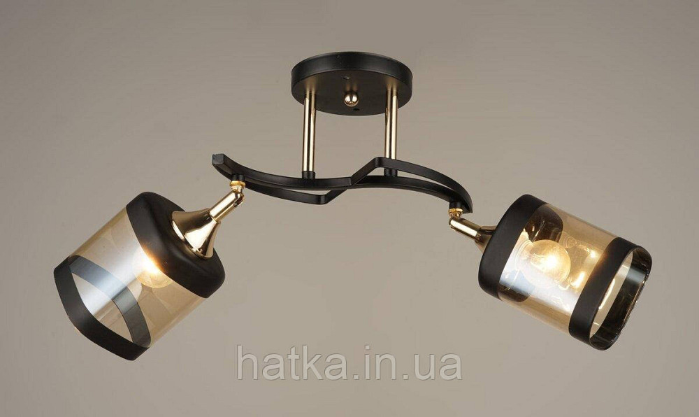 Люстра Sirius B N4484/2 (на 2 плафони) Київ - фото 1