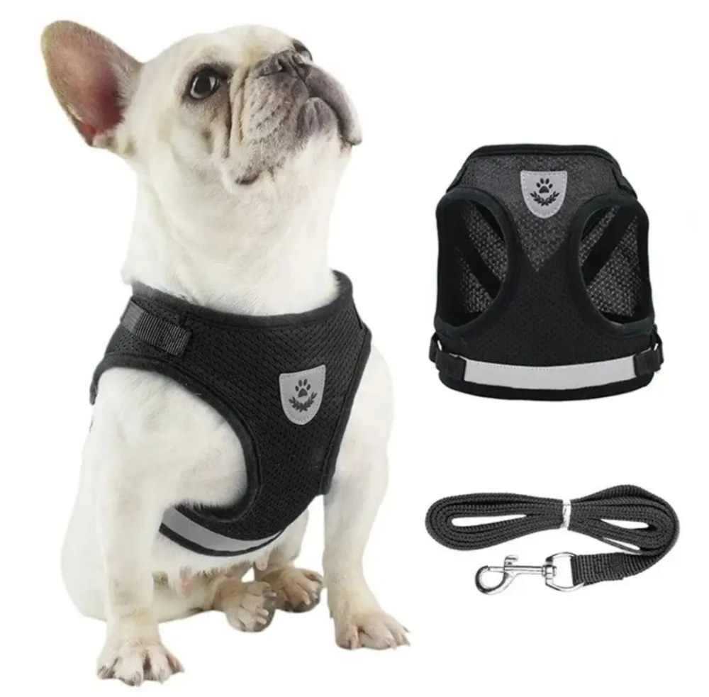 Светоотражающая шлея для собачек и кошек с поводком тканевая в сеточку S черный Киев - изображение 1