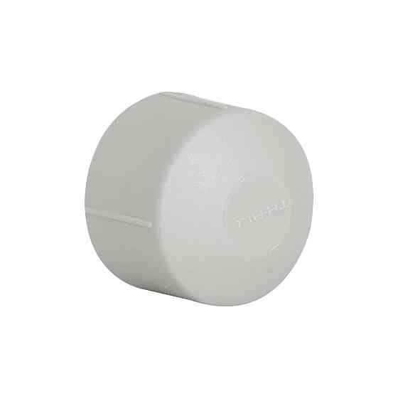 Заглушка PPR Thermo Alliance 25 Київ