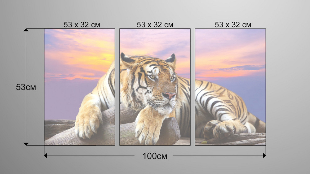 Модульна картина Тигр Аrt-209_3А Київ - фото 3
