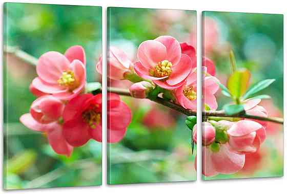 Модульна картина Квіти Весна Аrt-110_3А Київ