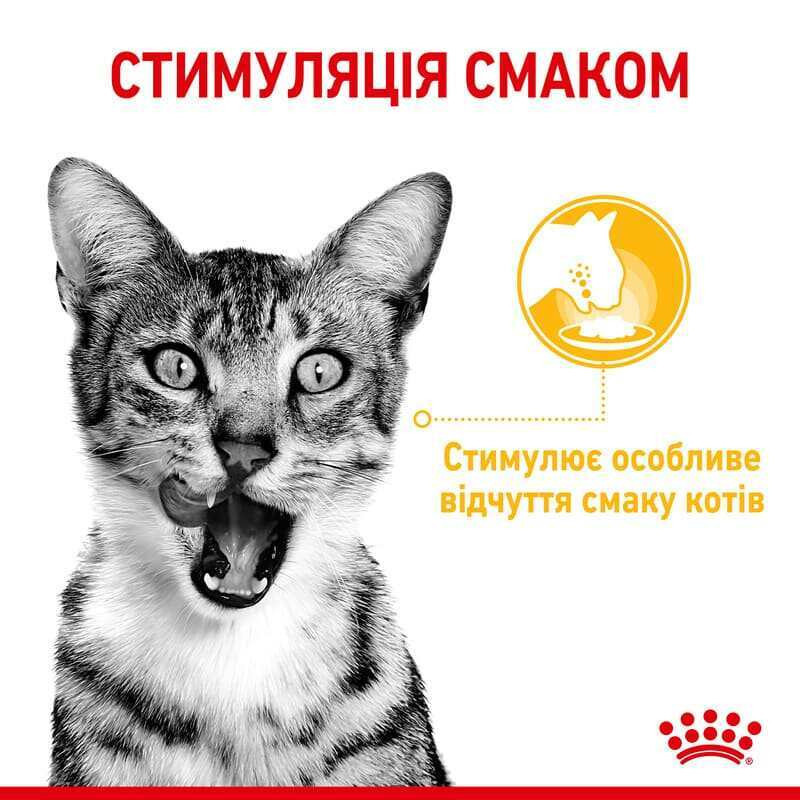Royal Canin Sensory Taste Gravy (Роял Канін Сенсорі шматочки) вологий корм для перебираних кішок 85 г х 12 шт. Запоріжжя - фото 2