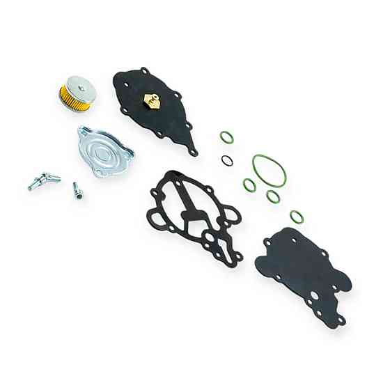 Ремкомплет тоmasetto alaska (з фільтром та гумками), редуктора Мукачево