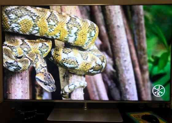 Топовий Телевізор Panasonic TX-55HXN978, 55" Smart,UHD, HDR+120Hz. 2020p. Київ