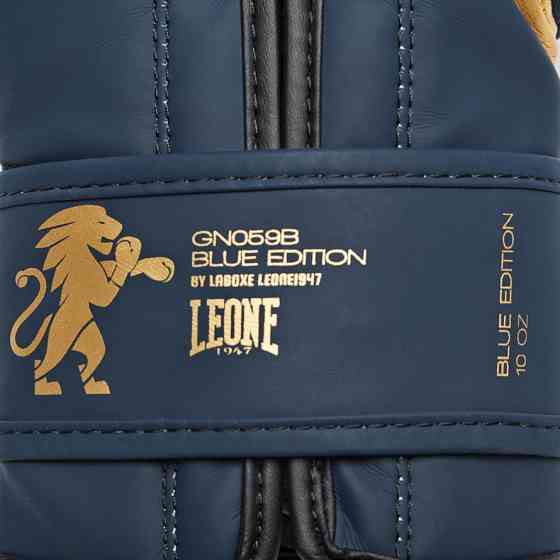 Боксерські рукавички Leone Mono Blue 10 ун. Кам'янське