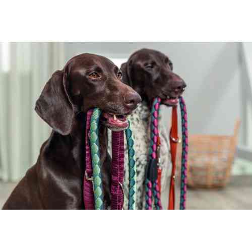 Поводок Trixie Cavo для собак L–XL 1 м диаметр 18 мм рыже-графитовый Киев