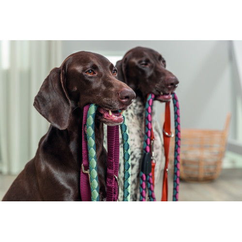 Повідок Trixie Cavo для собак L–XL 1 м діаметр 18 мм рижо-графітовий Київ - фото 2