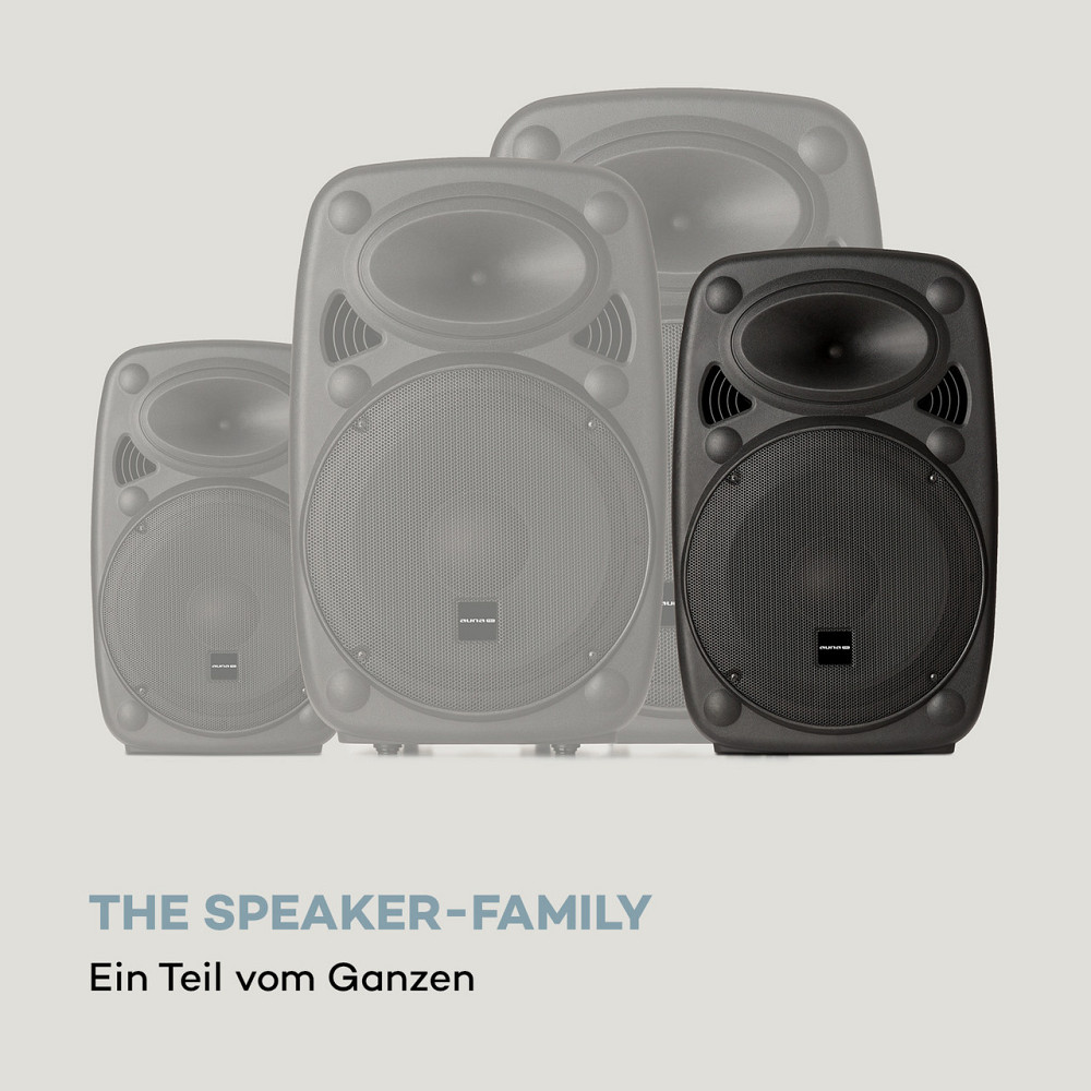 Мобильная акустическая система Streetstar 10 10-дюймовый (25,5 см) низкочастотный микрофон УВЧ-микрофон 400 Вт Ровно - изображение 10