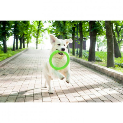 Іграшка для собак Collar PitchDog Кільце для апортування 20 см салатове (62375) Вінниця - фото 4