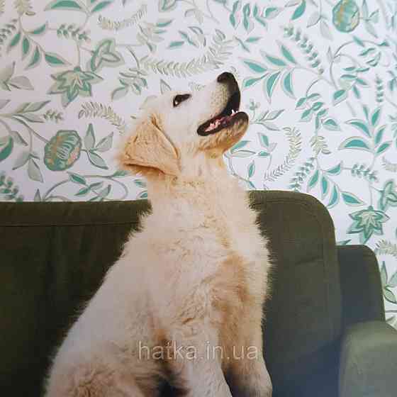 Шпалери вінілові на флізелін Caselio Mystery 0.53х10 м дитячі яскраві квіти листя зелені бірюзові на білому Київ