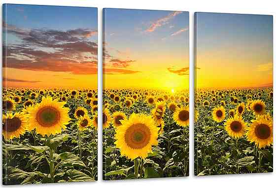 Модульная картина Природа Подсолнухи  (53x100см)  Art-51_3А 100x150 см Киев