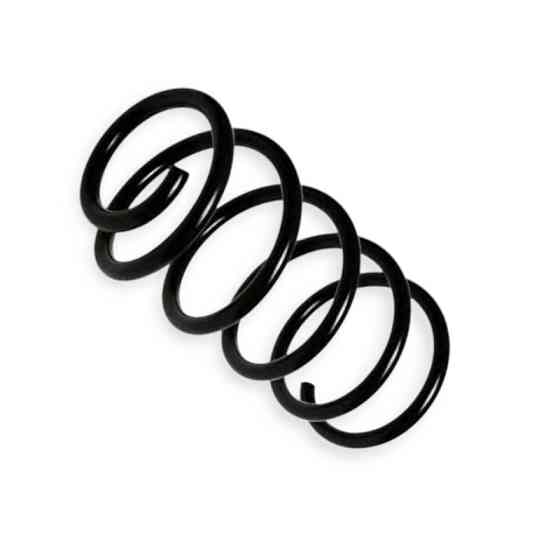 Пружина Мерседес Бенз Віто (W638) 96-03 Мукачево