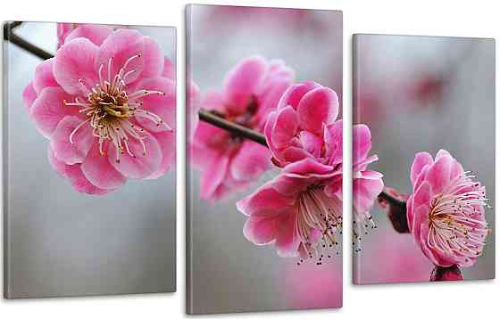 Модульна картина кольорів Весня Art-229_3 100x150 см Київ