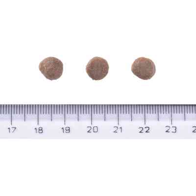 Сухий корм для собак Brit Care Dog Grain-free Puppy з лососем 1 кг (8595602558827) Вінниця