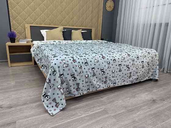Плед-покривало Decorator WellSoft CUTE KITTY 200х205 см з принтом "Котики" (87-185) Київ