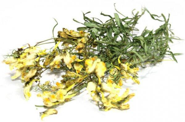 Льнянка звичайна (Льнянка обыкновенная)100г master sem Киев - изображение 2