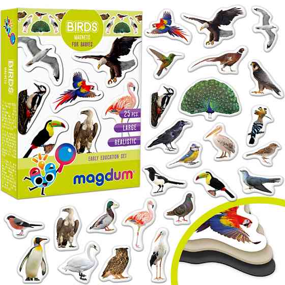 Дитячий набір магнітів Птахи фото Magdum ML4031-30 EN Вінниця