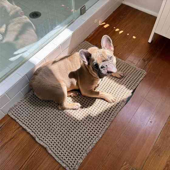 Коврик для ванной /туалета вафельный Lovely Svi - 50 x 80 см Серый (237253) Киев