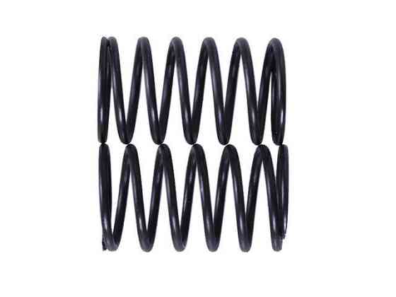 Пружины клапанов P70F (ZS) Мукачево