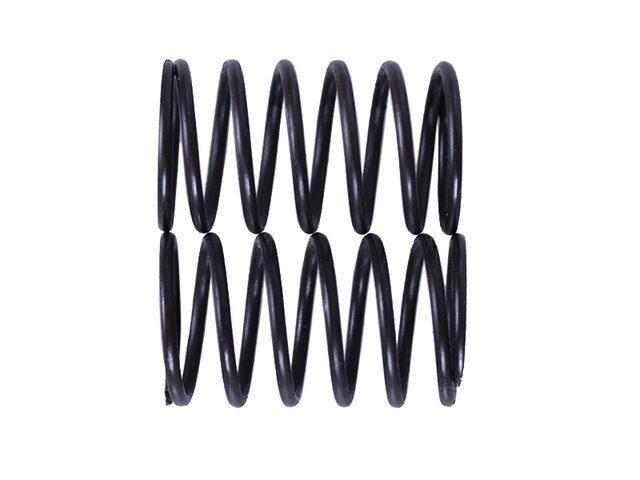 Пружины клапанов P70F (ZS) Мукачево - изображение 1