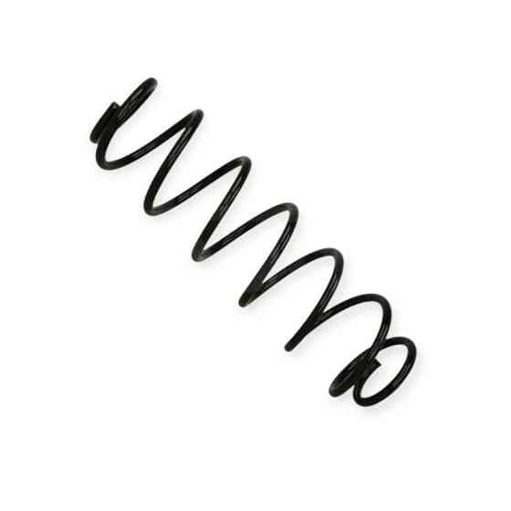 Пружина Renault Laguna II 01- задняя Мукачево